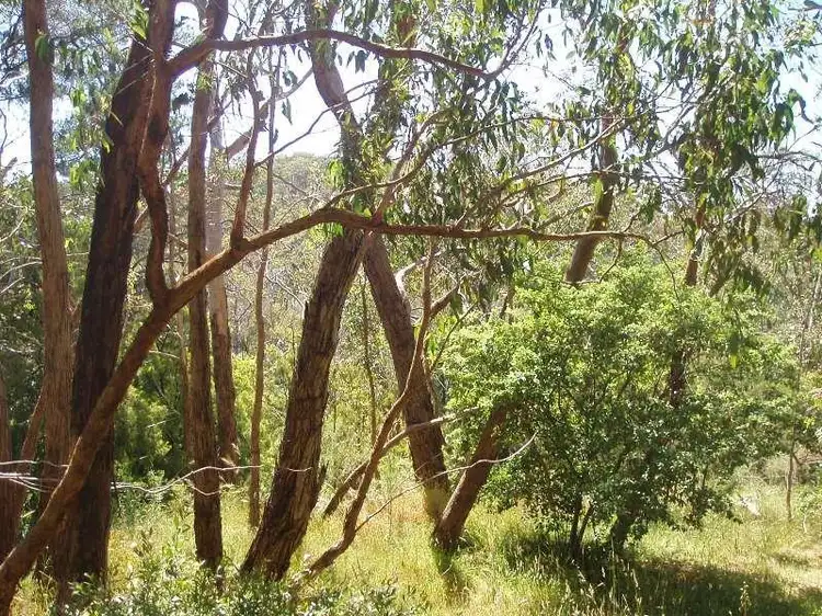 Fourth view of Homely land listing, 99 Upper Sturt Road, Upper Sturt SA 5156
