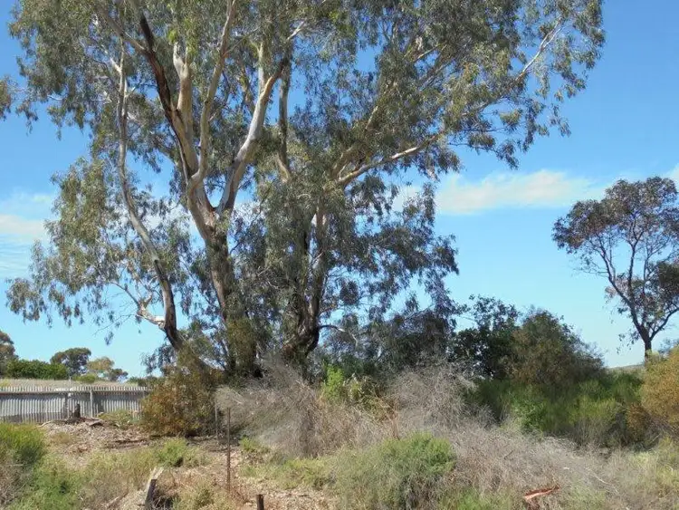 Fourth view of Homely land listing, 6 Connors Road, Swan Reach SA 5354