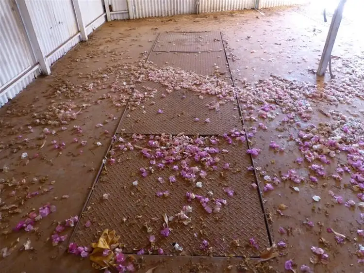 Seventh view of Homely house listing, 1 Yarrunga Crescent, South Hedland WA 6722