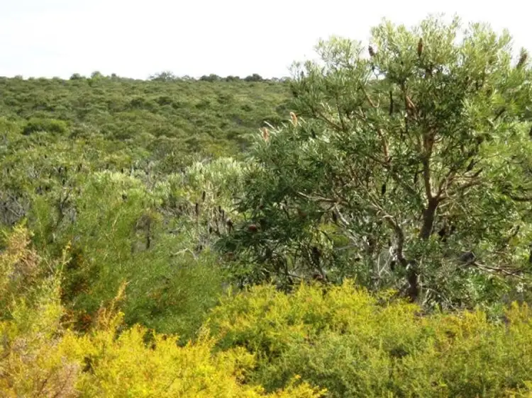 Lot 16 Wren Way, Jurien Bay WA 6516