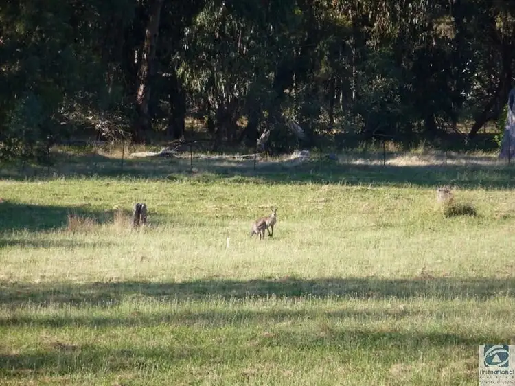 Fifth view of Homely land listing, Lot 303 Blue Wren Es Howards Road, Baranduda VIC 3691