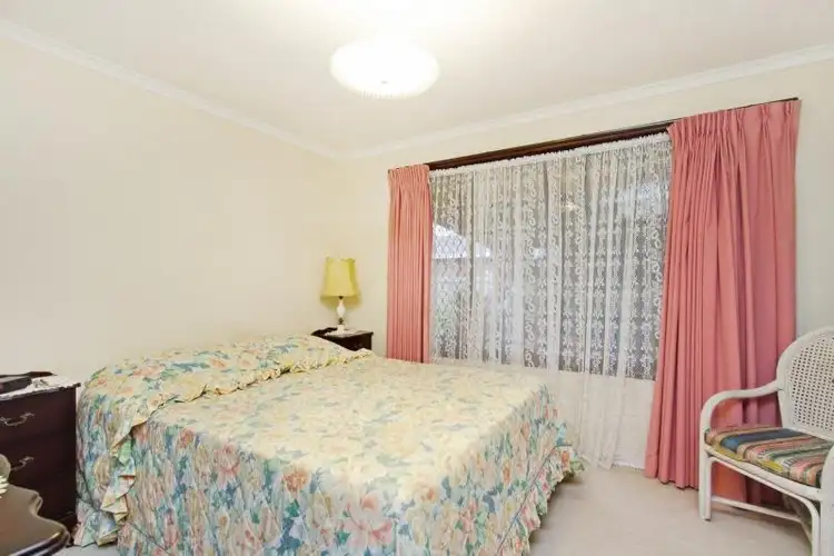 Fifth view of Homely house listing, 17 Sycamore Place, Palm Beach QLD 4221