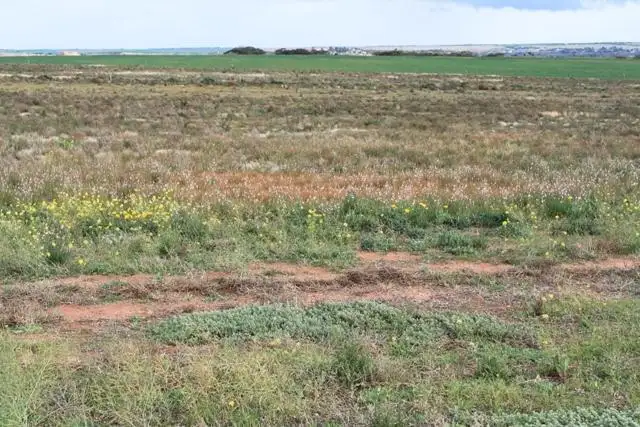 Fifth view of Homely land listing, Allotment 36 Magpie Crescent, Mannum SA 5238