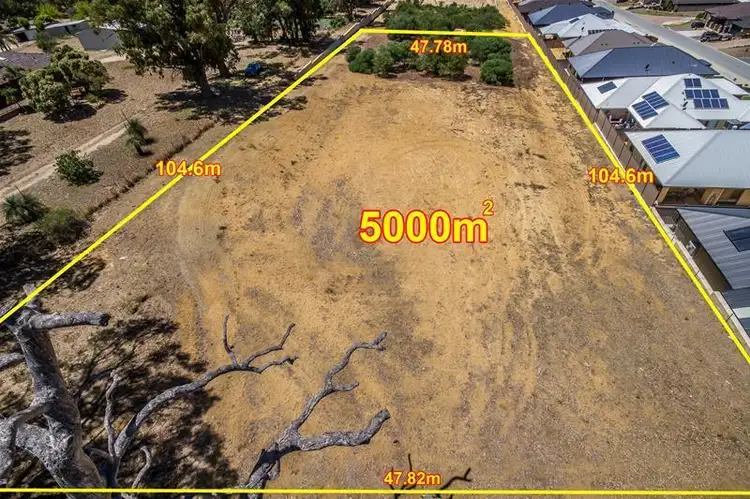 51 Paltara Way, Wanneroo WA 6065