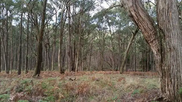 Second view of Homely land listing, Cnr Rob Roy & Abbington Park Road, Gordon VIC 3345