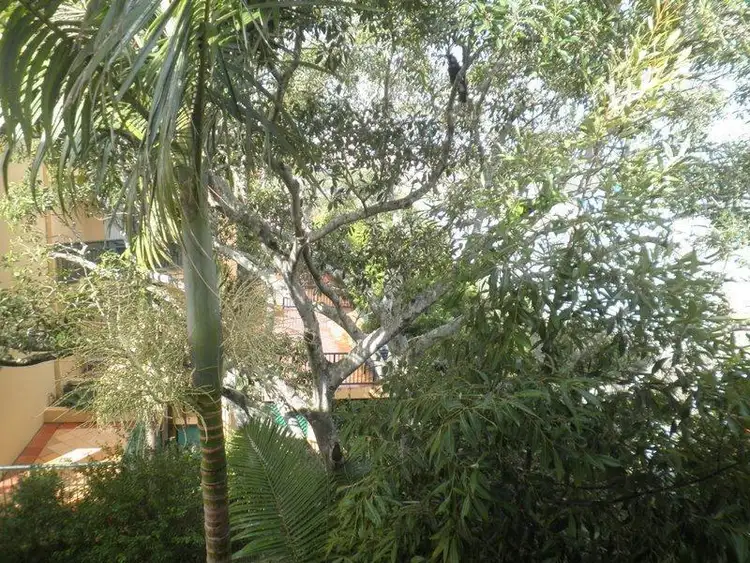 Seventh view of Homely apartment listing, 28/14-18 Spendelove Avenue, Southport QLD 4215