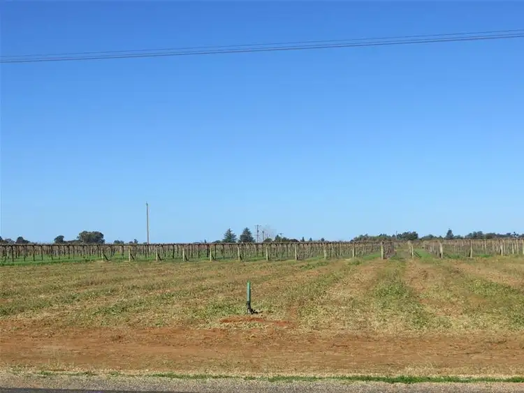 Third view of Homely house listing, LOT 1 Karadoc Avenue, Irymple VIC 3498