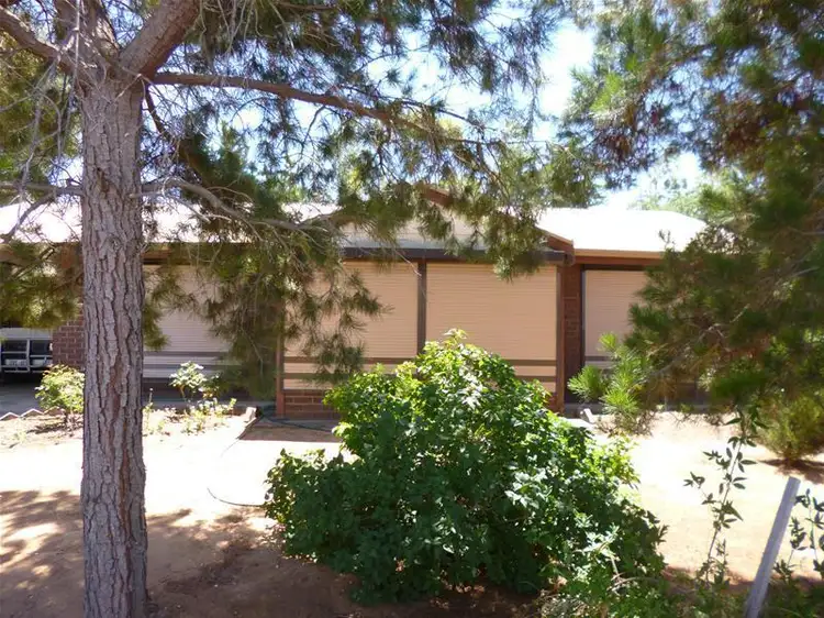 Second view of Homely house listing, 9 Randall Street, Mannum SA 5238