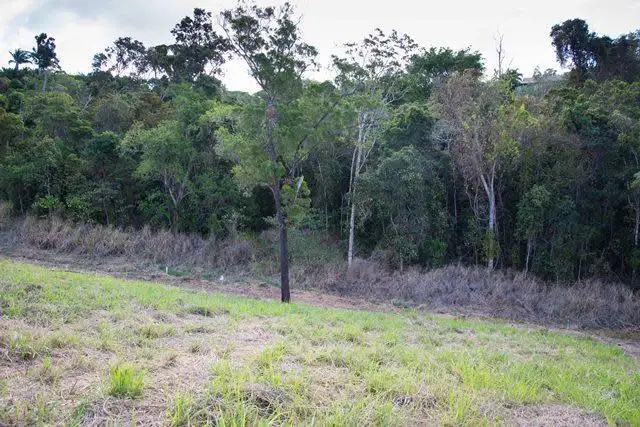 Fourth view of Homely land listing, Lot 19 Scarlett Gum Crescent, Cannonvale QLD 4802
