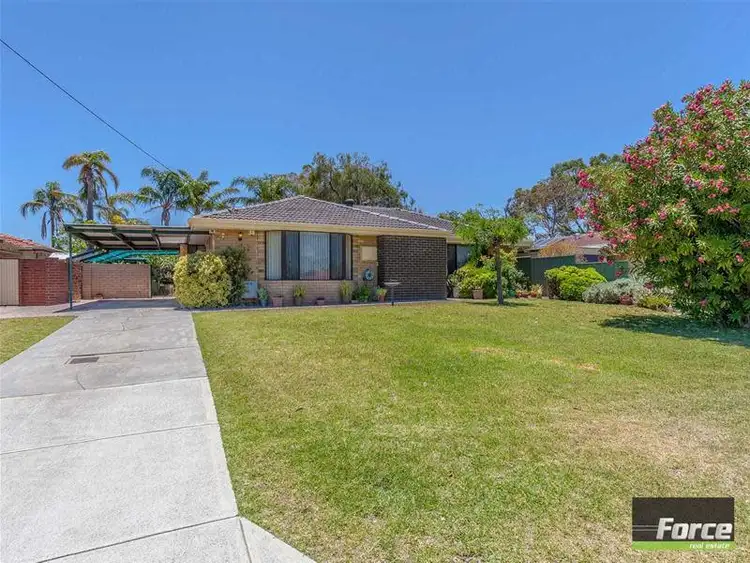 7 Macedon Place, Craigie WA 6025