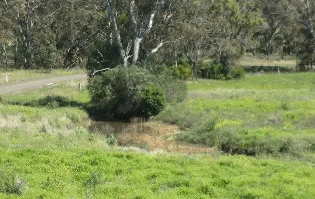 Third view of Homely rural property listing, Lot 72 Woods Road, Ramsay QLD 4358