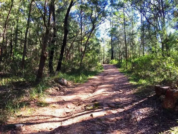 Main view of Homely land listing, 35 Tamworth Street, North Arm Cove NSW 2324
