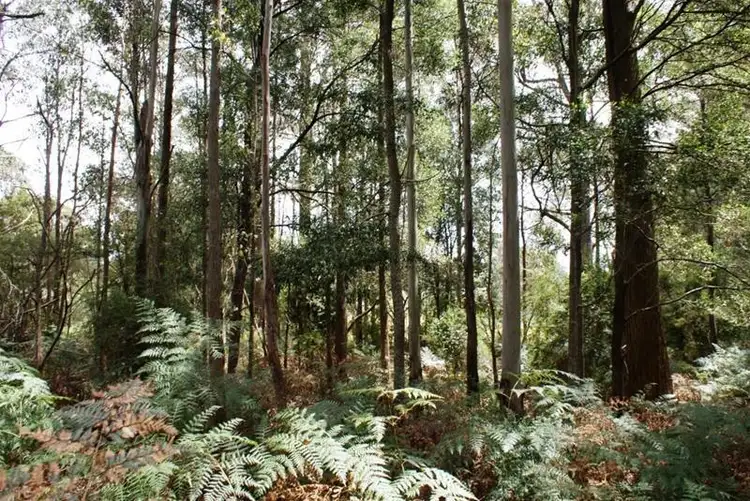 Third view of Homely land listing, 20 Bonney Street, Elizabeth Town TAS 7304