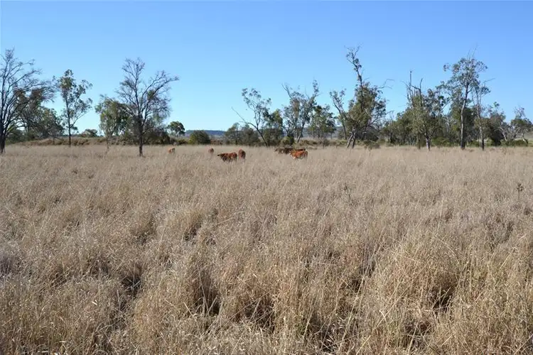 Third view of Homely rural property listing, 100 Cox Millard Road, Thangool QLD 4716