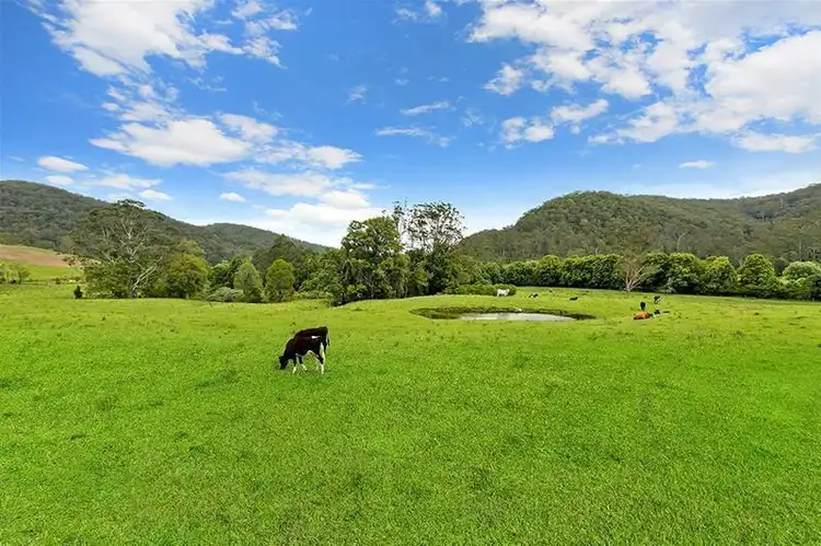 Lot/1271 Ravensdale Road, Ravensdale NSW 2259