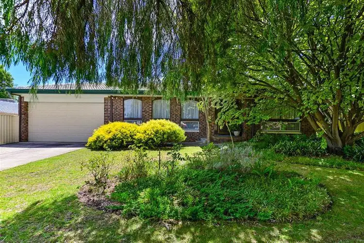 10 Puringa Road, Dernancourt SA 5075
