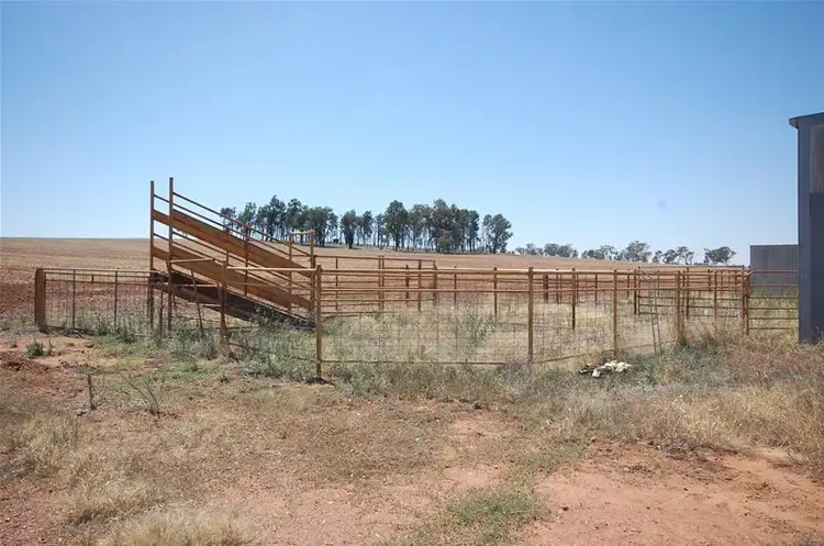 Sixth view of Homely rural property listing, 36 Hancocks Lane, The Gap NSW 2650