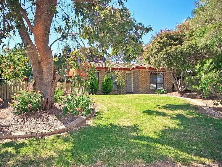 34 Lewis Avenue, Mount Barker SA 5251