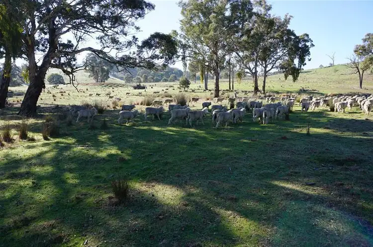 Fourth view of Homely land listing, 520 Blakney Creek Road, Blakney Creek NSW 2581