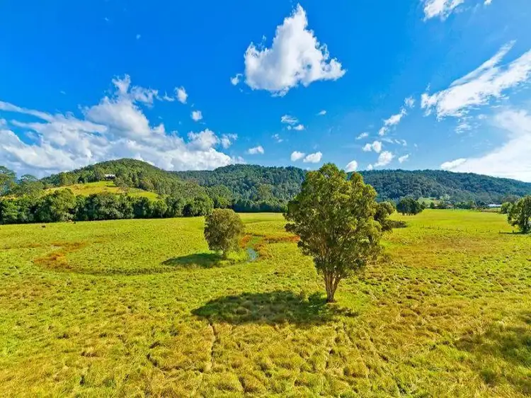 Second view of Homely house listing, 1929 Yarramalong Road, Yarramalong NSW 2259