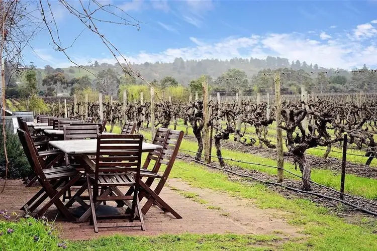 Fifth view of Homely land listing, 5 Penfold Way, Mclaren Vale SA 5171