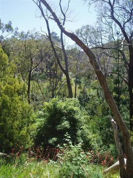 Fifth view of Homely land listing, 99 Upper Sturt Road, Upper Sturt SA 5156