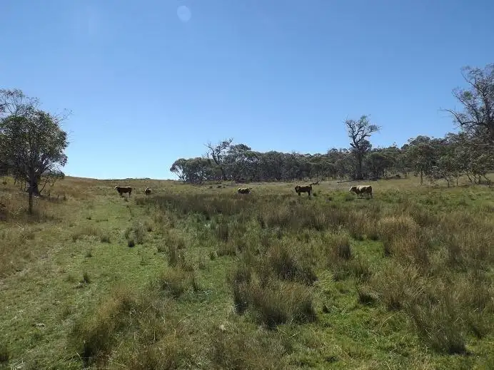 Lot 6/115 Hilltop  Road, Jindabyne NSW 2627