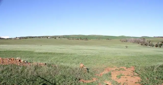 Fourth view of Homely land listing, LOT 2/123 Seventh Avenue, Northampton WA 6535