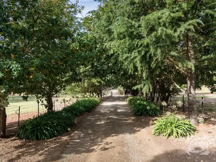Second view of Homely rural property listing, 61 Henry Road, Blakiston SA 5250