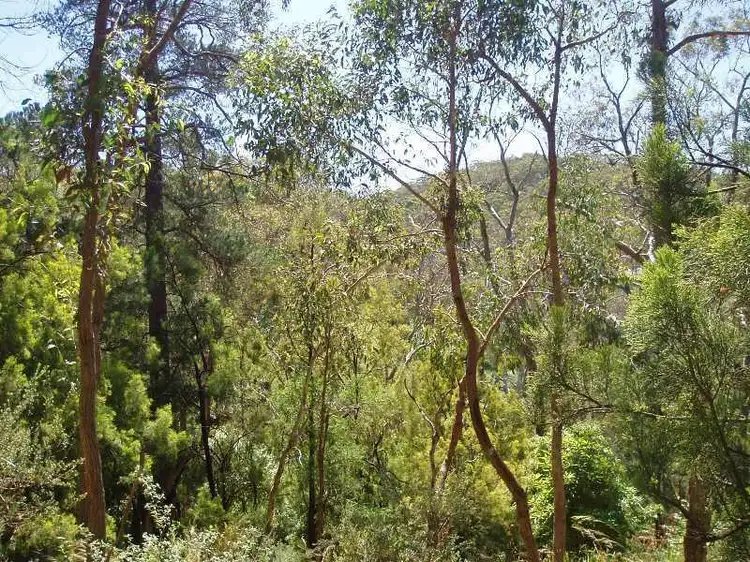 Third view of Homely land listing, 99 Upper Sturt Road, Upper Sturt SA 5156