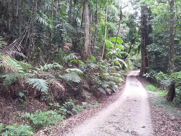 Seventh view of Homely land listing, 785 Trees Road, Tallebudgera QLD 4228