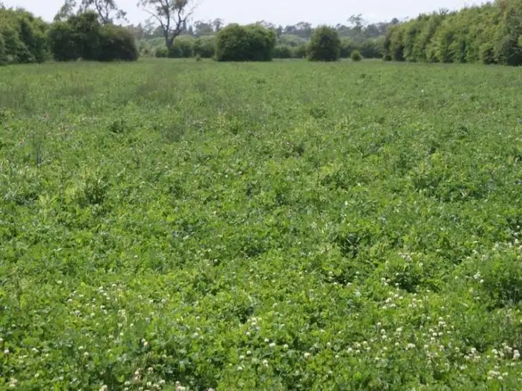 Fourth view of Homely house listing, 167 Mole Creek Road, Deloraine TAS 7304