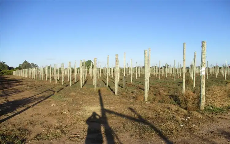 Seventh view of Homely land listing, 4 Ellis Road, Two Wells SA 5501