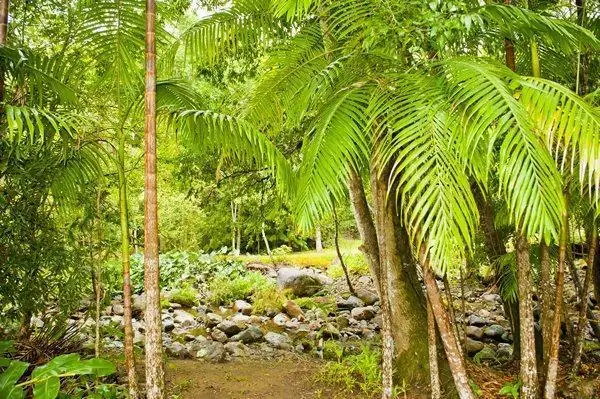 Seventh view of Homely rural property listing, Address available on request