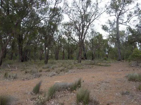 Third view of Homely land listing, 110 Fairway Place, Boddington WA 6390