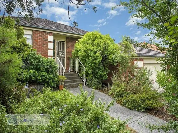 Main view of Homely house listing, 31 Aumann Court, Croydon North VIC 3136