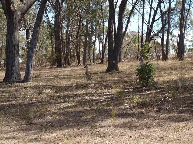 Second view of Homely land listing, 7 Sir Leo Curtis Way, Wandong VIC 3758