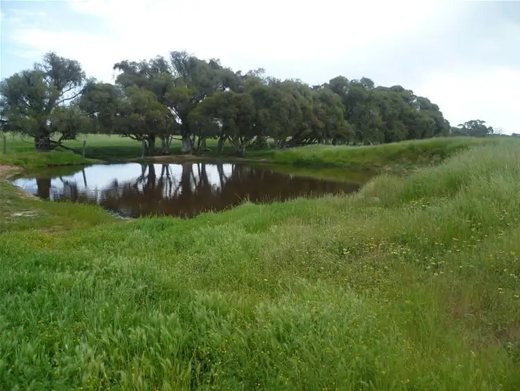 Main view of Homely land listing, 595 Walker Road, Serpentine WA 6125