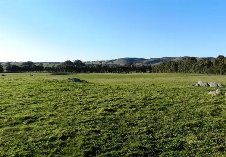 Seventh view of Homely rural property listing, 1817 Cooks Hill Road, Yass NSW 2582
