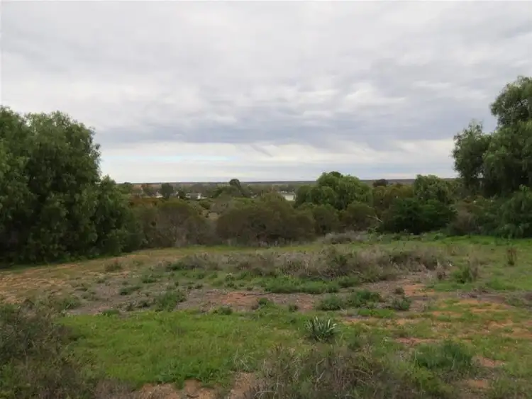 Third view of Homely house listing, 21 Nildottie Road, Swan Reach SA 5354