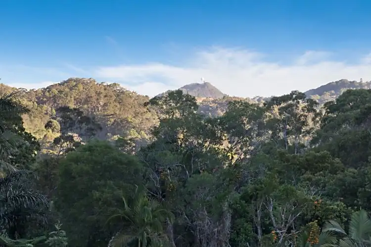 16 Lindwall Place, Currumbin Valley QLD 4223