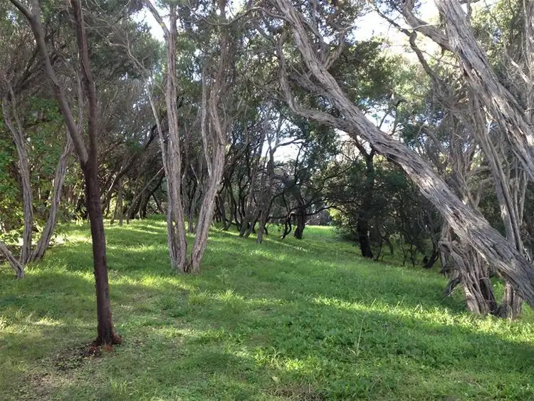 Third view of Homely land listing, 45 Tiberius Road, St Andrews Beach VIC 3941