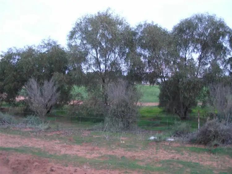 Third view of Homely land listing, 44 Martha Street, Caloote SA 5254