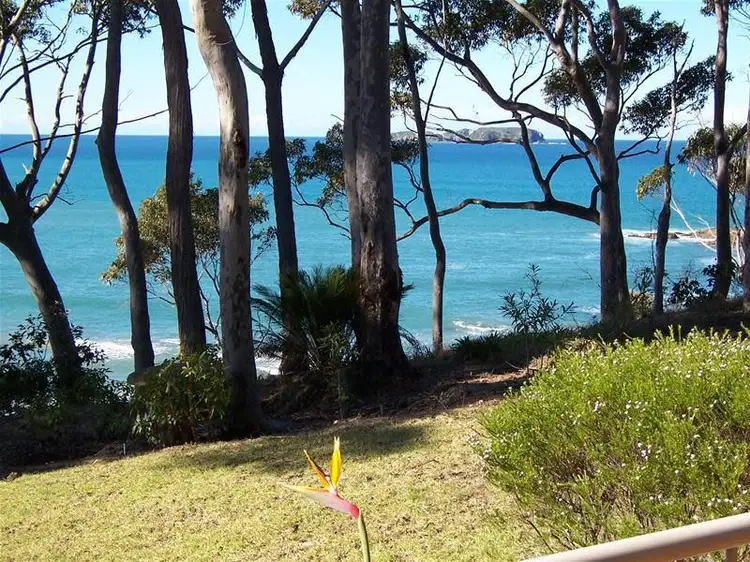 Main view of Homely unit listing, 3/5 Edgewood Place, Denhams Beach NSW 2536