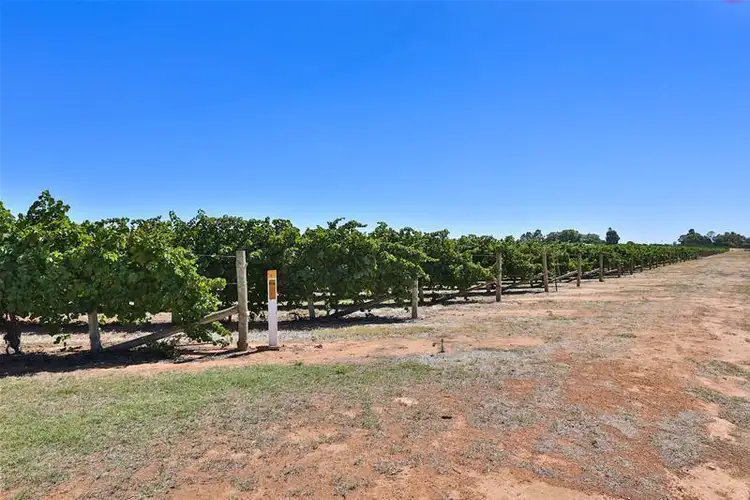Second view of Homely rural property listing, 3561 Deakin Avenue, Mildura VIC 3500