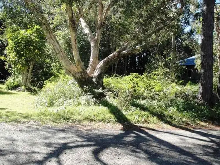 Main view of Homely land listing, 49 Wombo Street, Pindimar NSW 2324