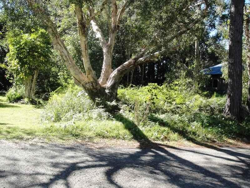 Main view of Homely land listing, 49 Wombo Street, Pindimar NSW 2324