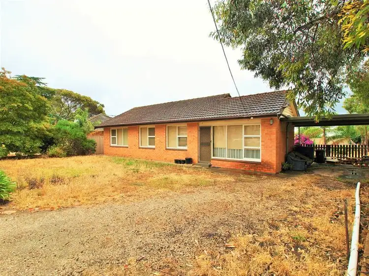 Second view of Homely house listing, 19 Silvermere Avenue, Paradise SA 5075