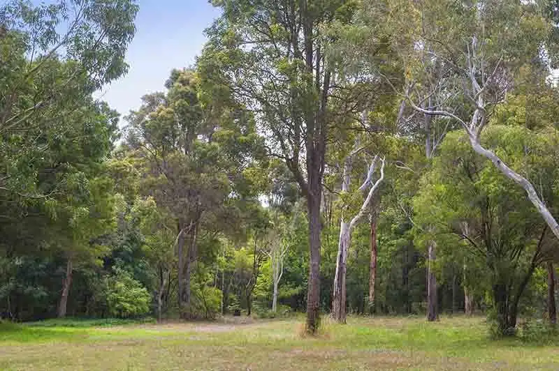 Main view of Homely land listing, 232 Merino Way, Margaret River WA 6285