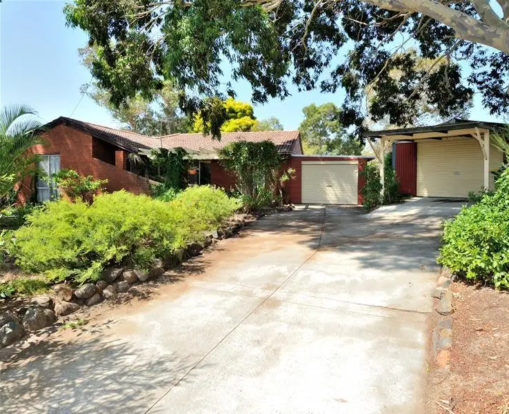 Main view of Homely house listing, 11 Jarvis Court, Swan View WA 6056